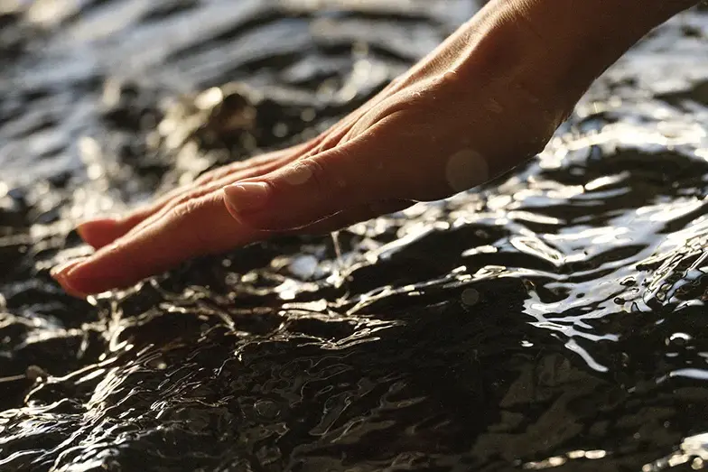 Z prośrodowiskową misją